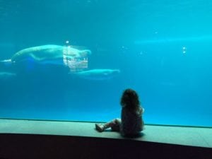 Things I Want My Daughter To Know On Her 4th Birthday