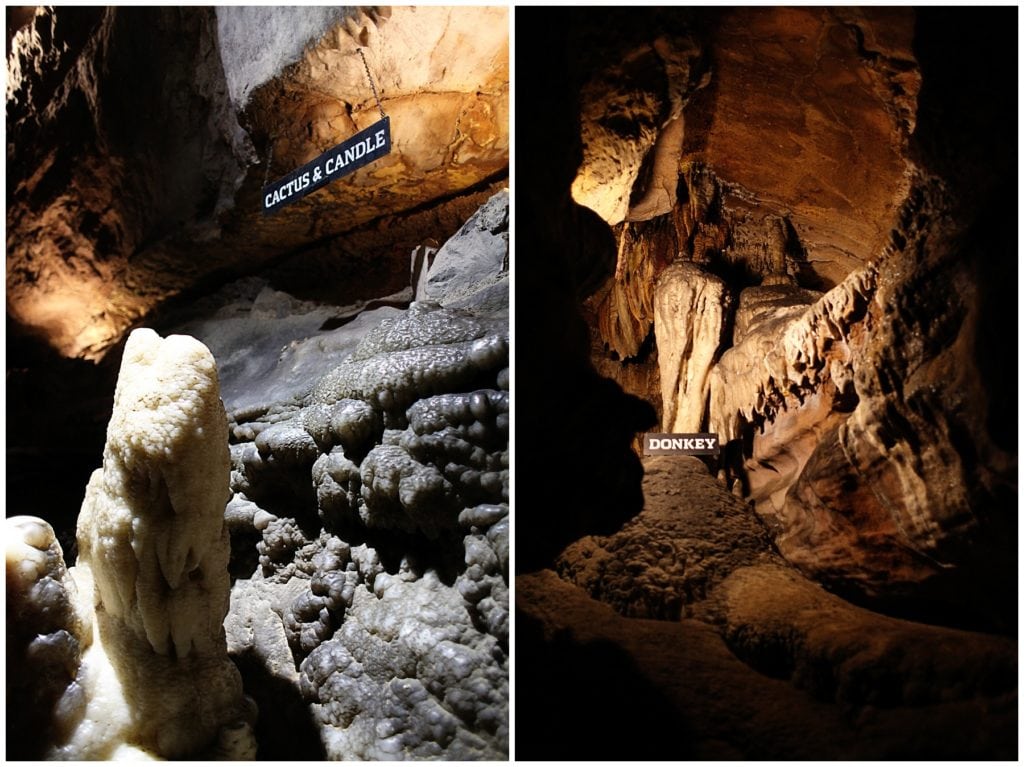 must-see Chattanooga attractions - The everyday mom life 