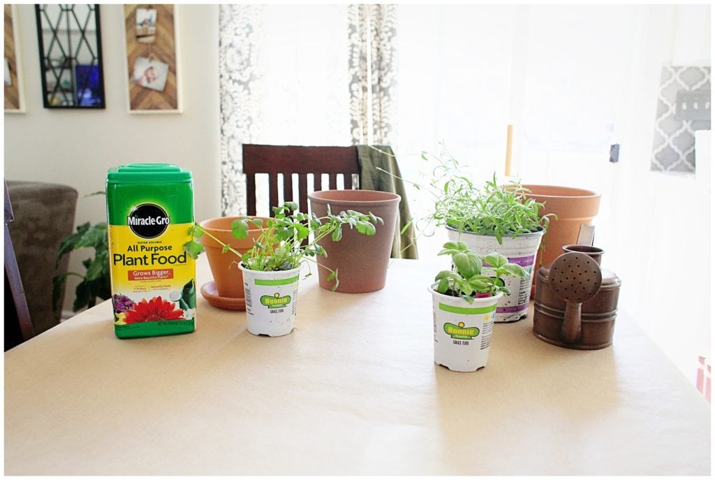 gardening with kids - The Everyday Mom Life