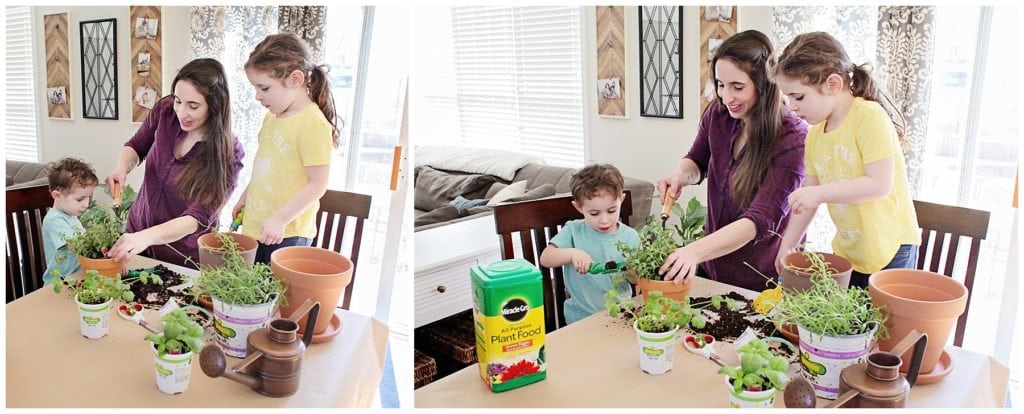 gardening with kids - The Everyday Mom Life