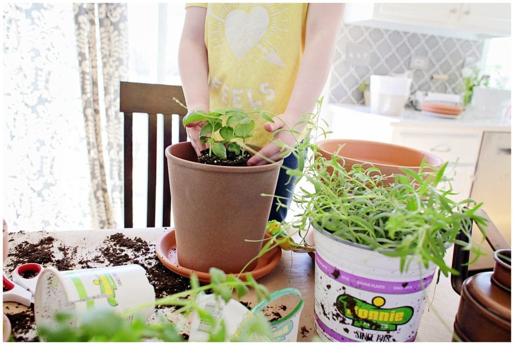 gardening with kids - The Everyday Mom Life