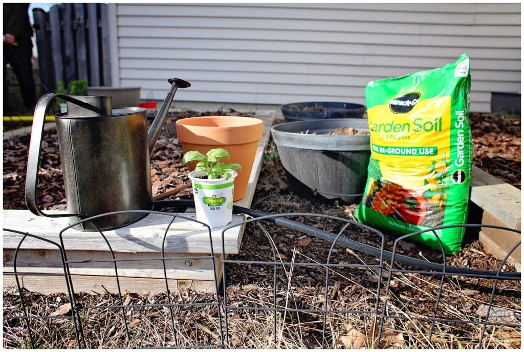 gardening with kids - The Everyday Mom Life