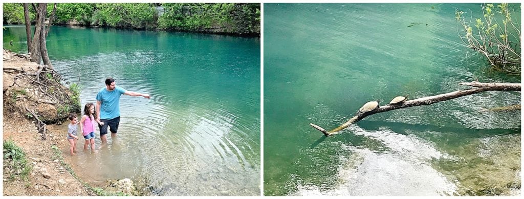 Things To Do In Austin With Kids - The Everyday Mom Life