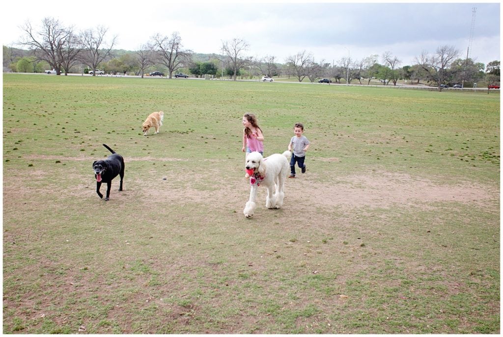 Things To Do In Austin With Kids - The Everyday Mom Life