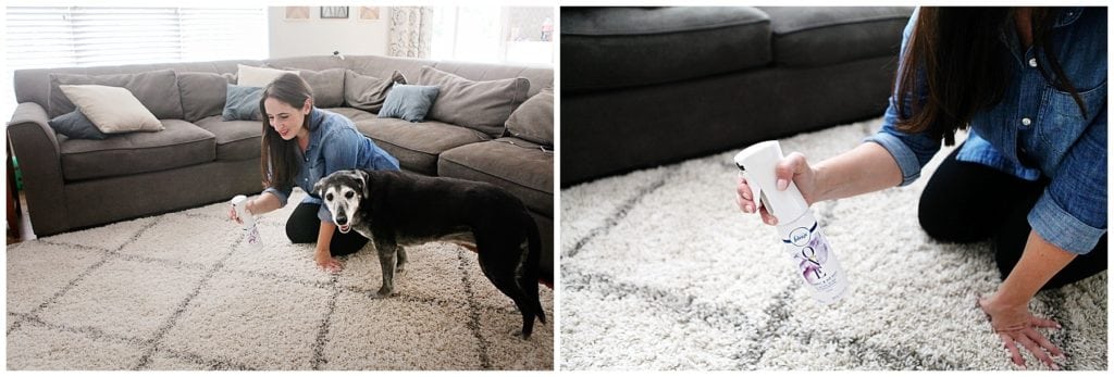 febreze one - The Everyday Mom Life