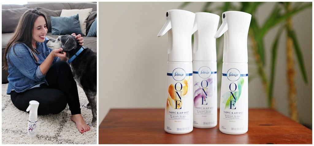 febreze one - The Everyday Mom Life