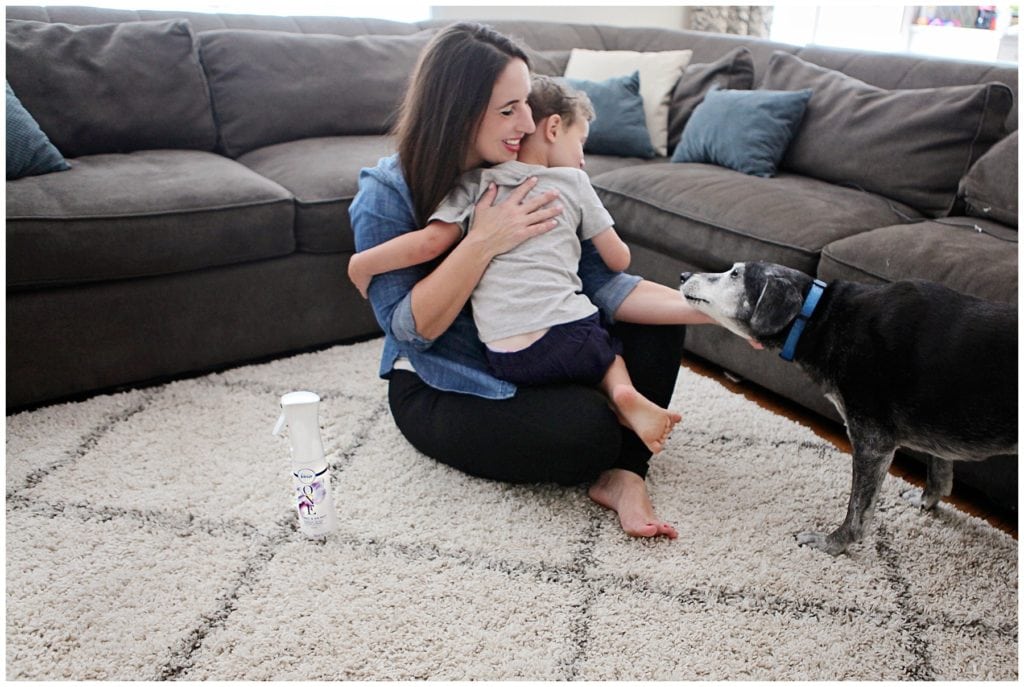 febreze one - The Everyday Mom Life
