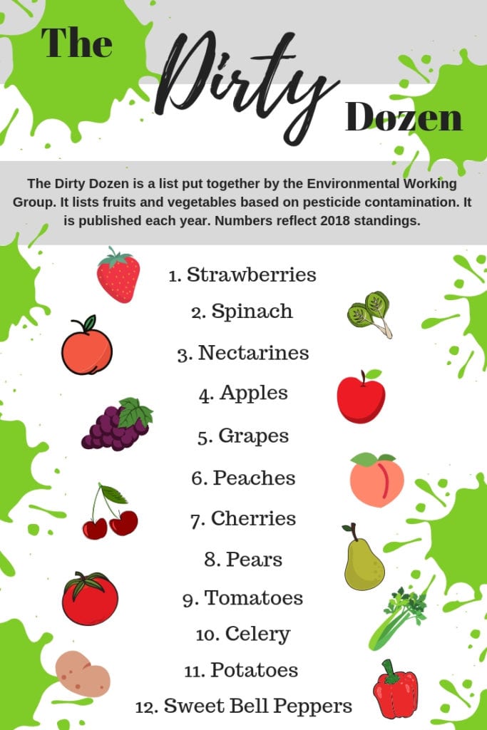 organic food - The Everyday Mom Life