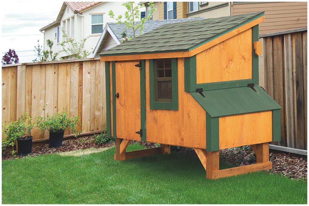 Should I get backyard chickens