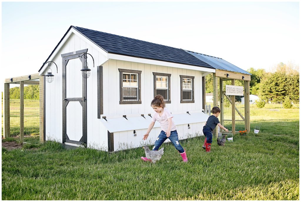Should I get backyard chickens