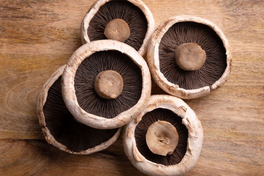 Portobello Mushroom