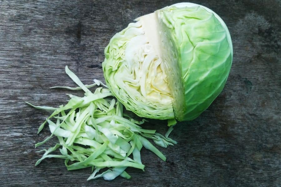 Is Cabbage Good For Chickens