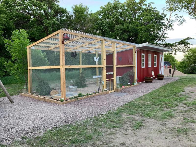 Modern DIY Chicken Run