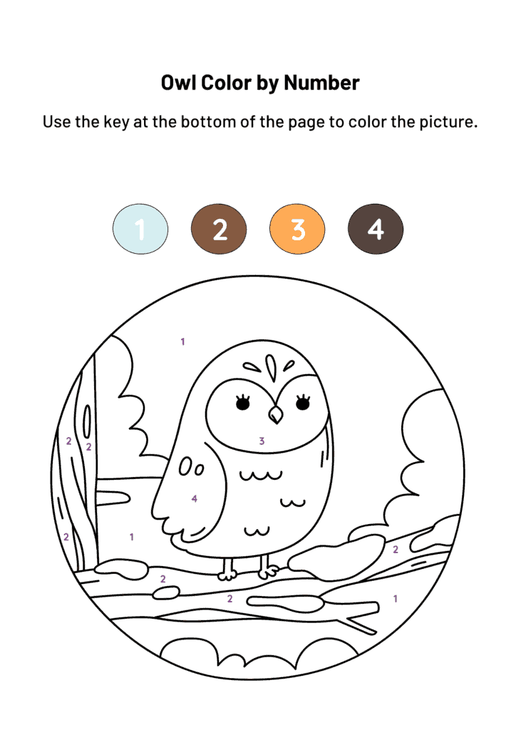 Owl Color by Number
