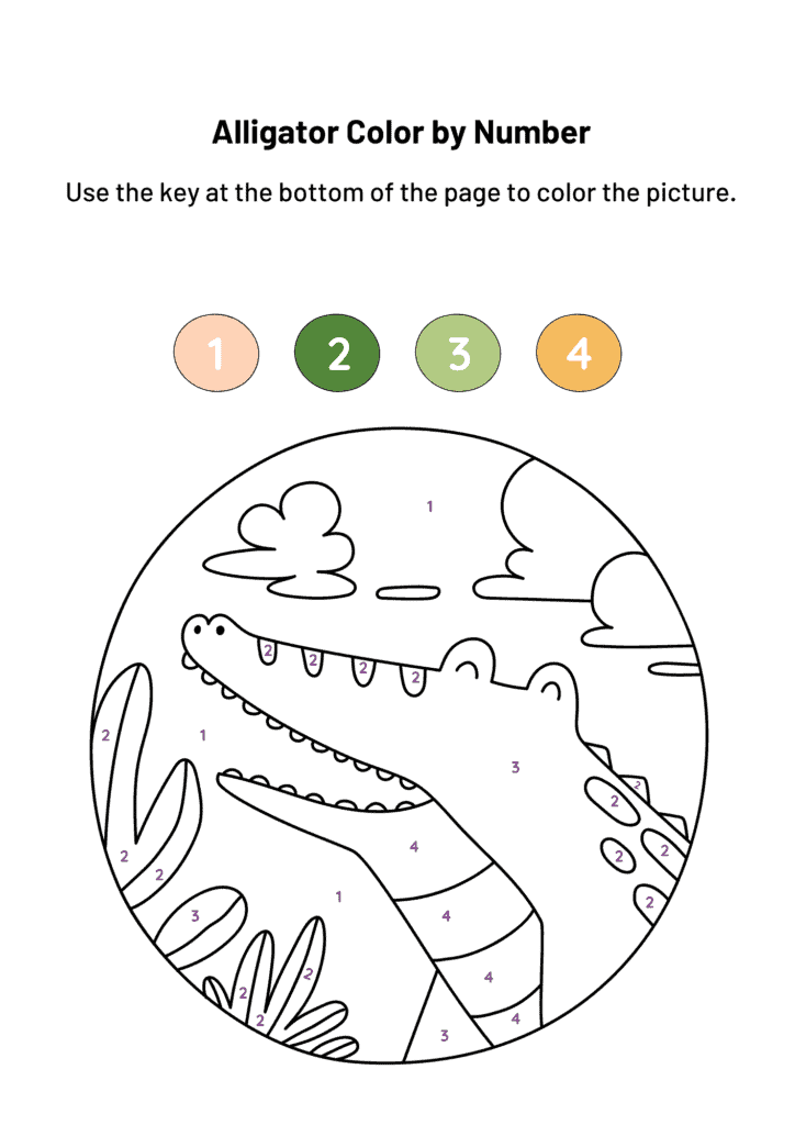 Aligator Color by Number