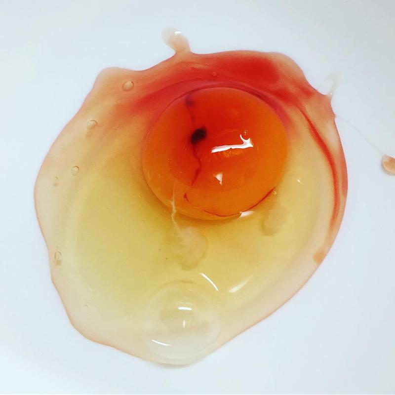 Blood On the Yolk