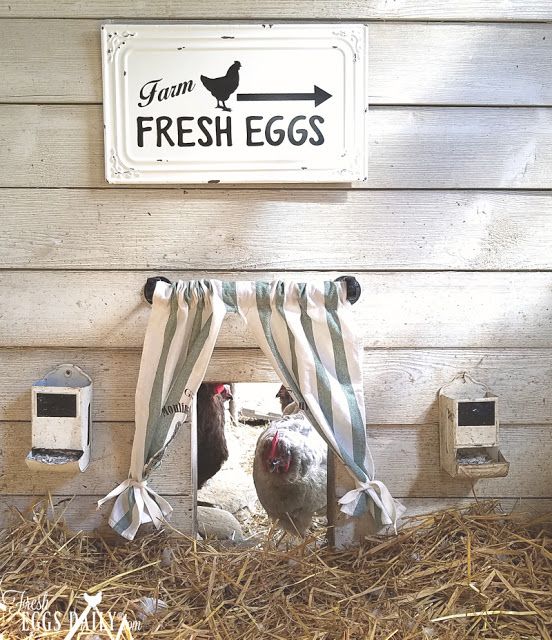 Chicken Coop Curtain Door