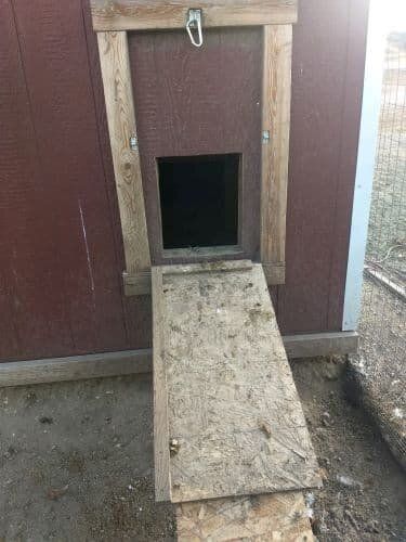 Chicken Coop Pop Door