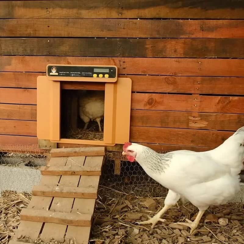 Chicken Coop Solar Automatic Door
