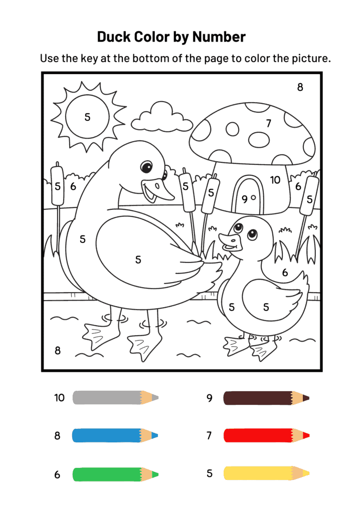 Duck Color by Number