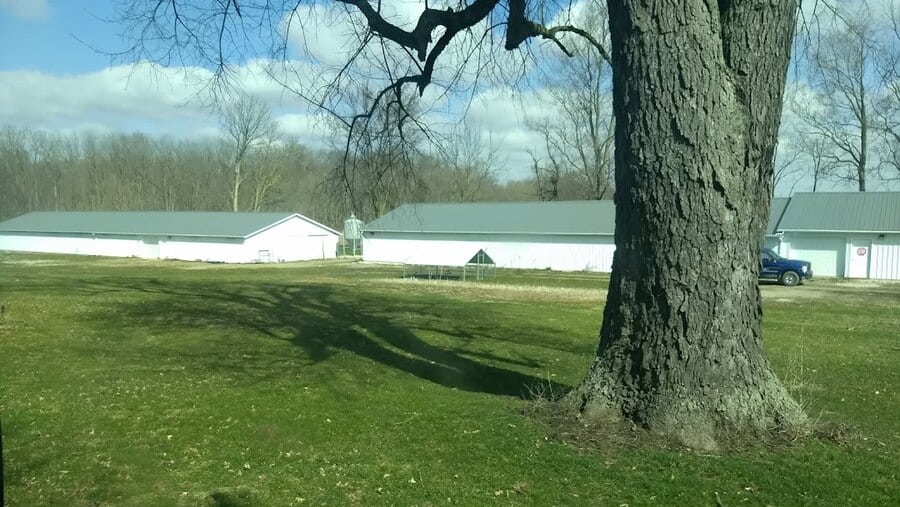 Eagle Nest Poultry