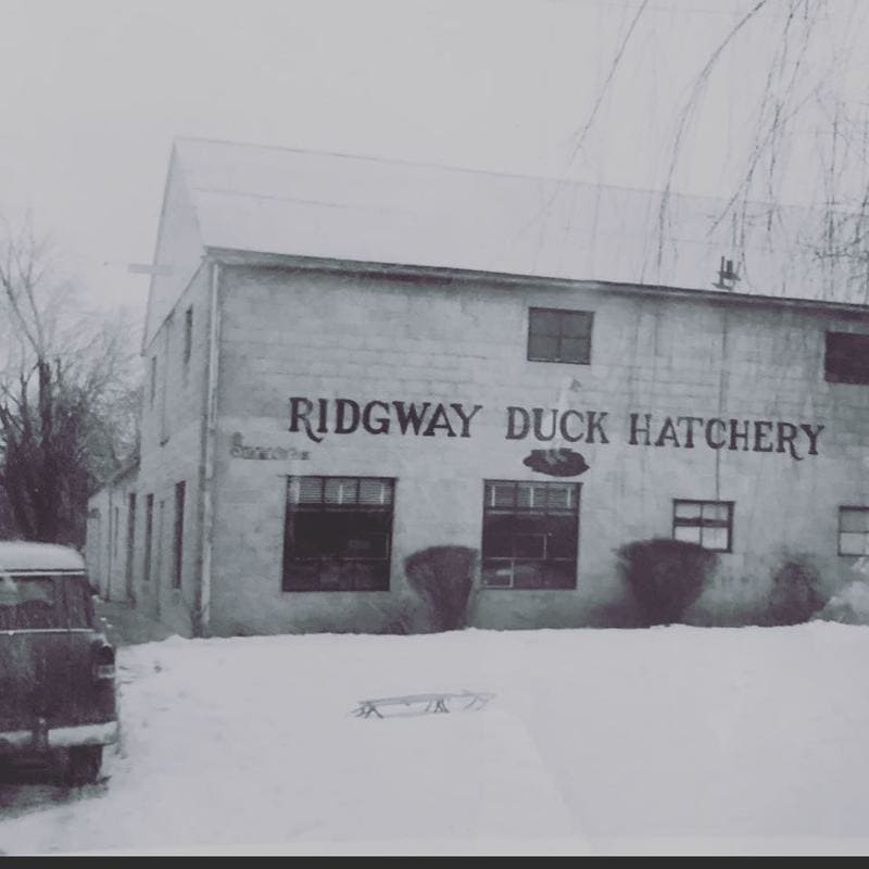Ridgway Hatchery