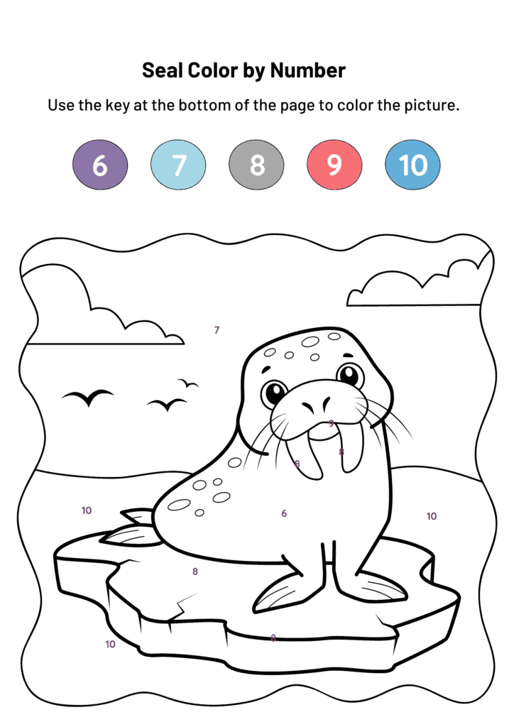 Seal Color by Number