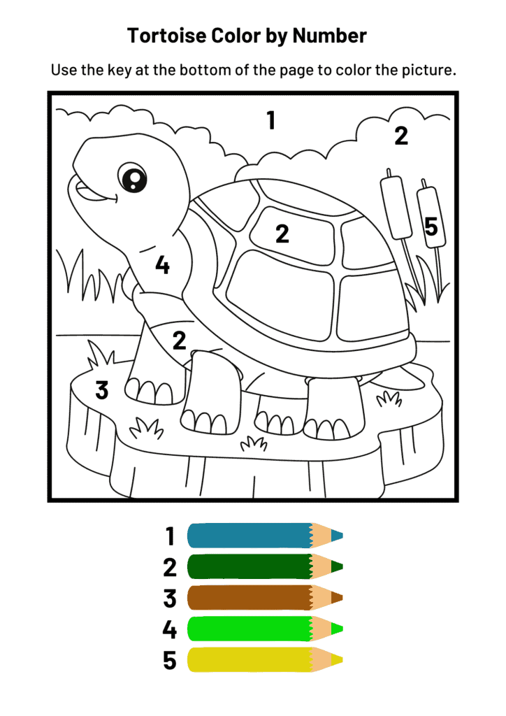 Tortoise Color by Number