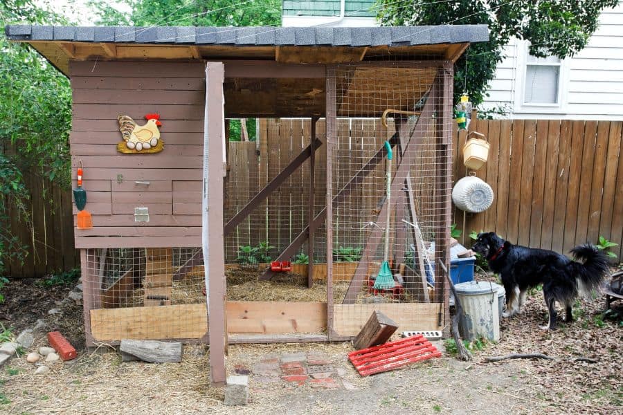 Chicken Coop Door Ideas