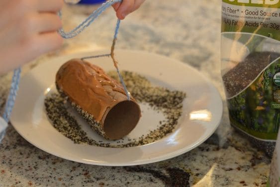 DIY Seed Roll Treats