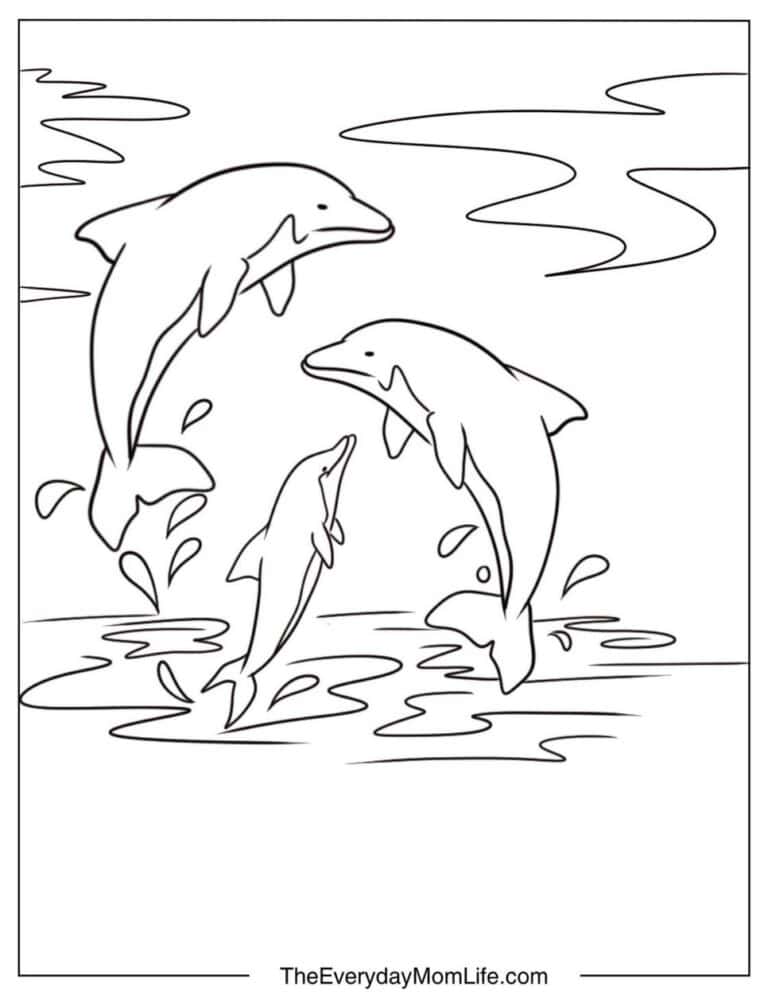 Free Printable Dolphin Coloring Pages