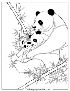 Panda Coloring Pages for Kids (Free PDF)