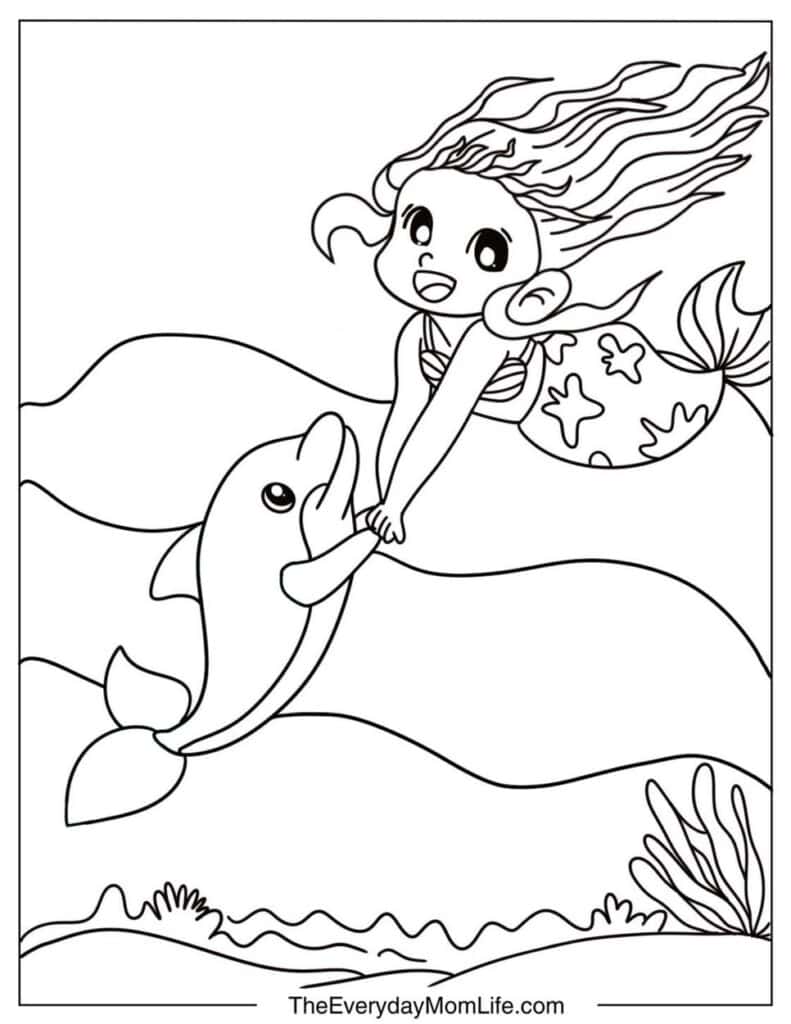 Mermaid and Dolphin