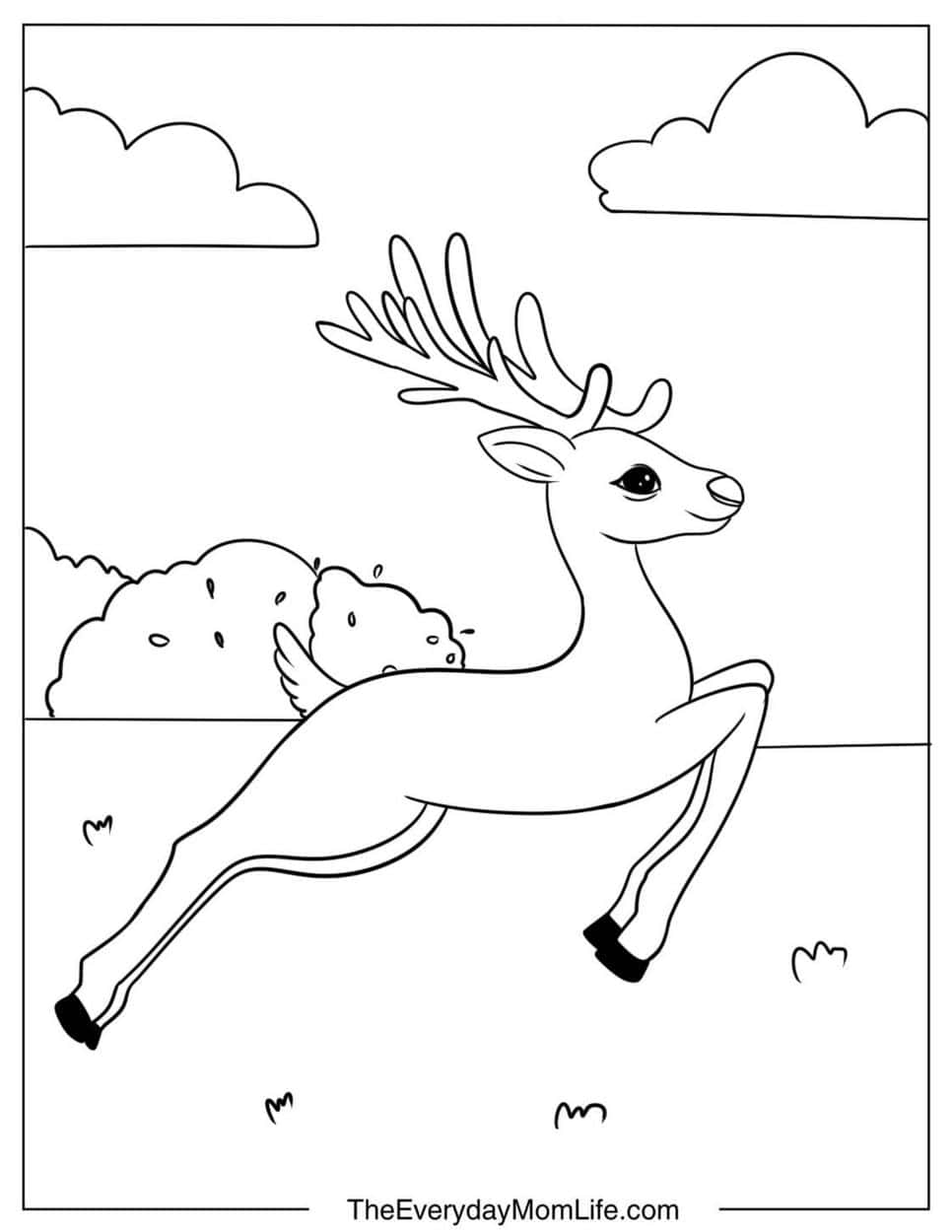 Free Printable PDF Deer Coloring Pages