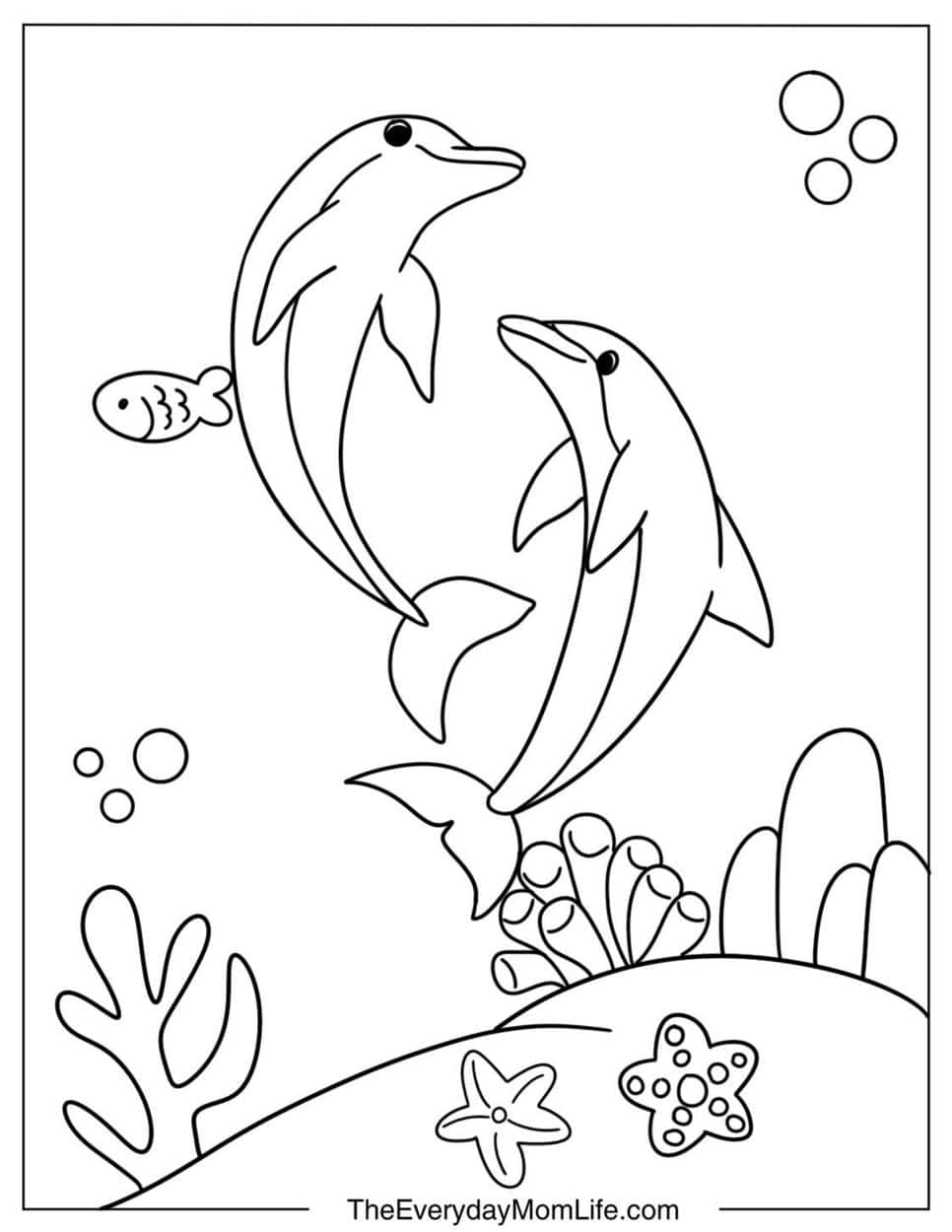 Free Printable Dolphin Coloring Pages